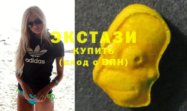 индика Зеленодольск