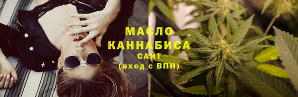индика Зеленодольск