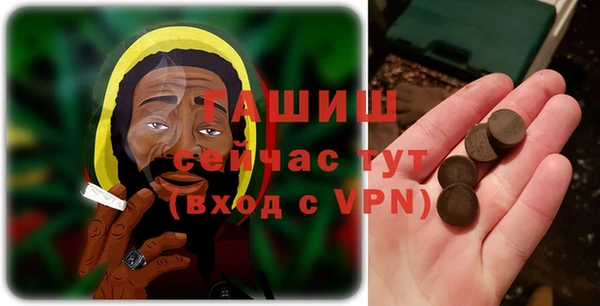индика Зеленодольск