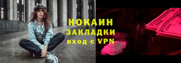 индика Зеленодольск
