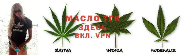 индика Зеленодольск