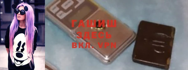 индика Зеленодольск