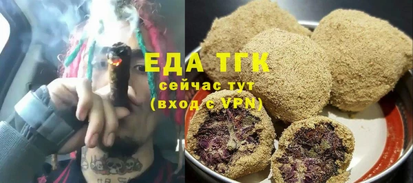 индика Зеленодольск