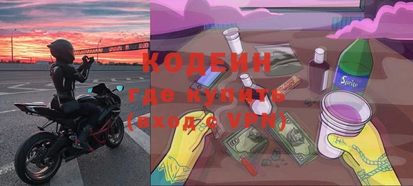 индика Зеленодольск