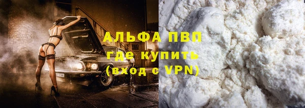 стаф Зеленокумск