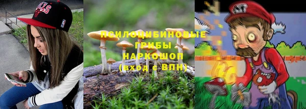 индика Зеленодольск