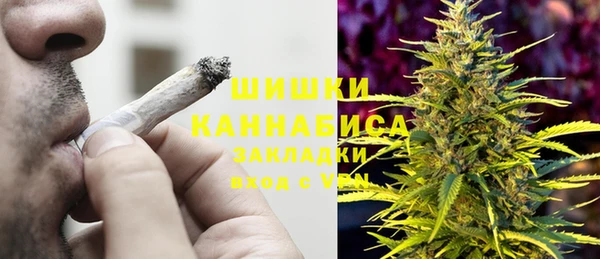 стаф Зеленокумск