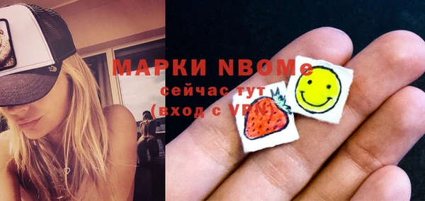 индика Зеленодольск