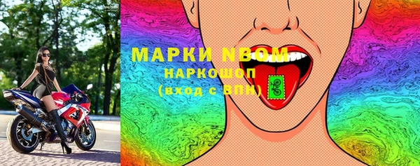 стаф Зеленокумск