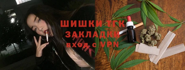 индика Зеленодольск