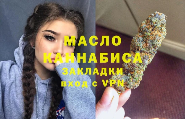 индика Зеленодольск