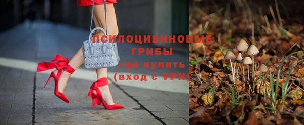стаф Зеленокумск