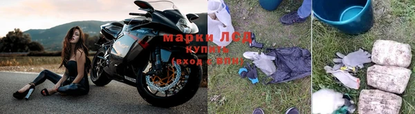стаф Зеленокумск